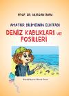 Deniz Kabukları ve Fosilleri Nurdan İnan