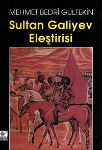 Sultan Galiyev Eleştirisi