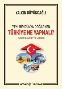 Türkiye Ne Yapmalı ? - Yalçın Büyükdağlı